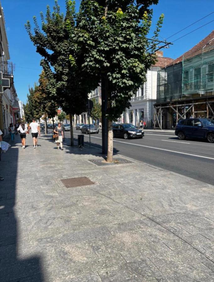 Ndl Downtown Lejlighed Cluj-Napoca Eksteriør billede