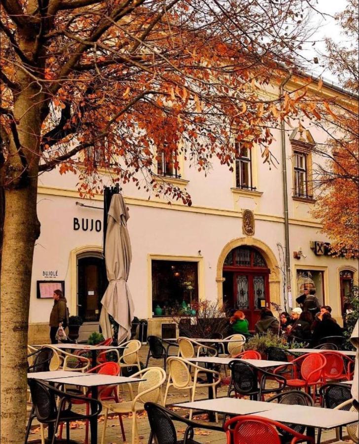Ndl Downtown Lejlighed Cluj-Napoca Eksteriør billede